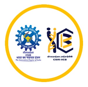 Right Logo